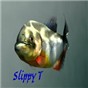 Slippy-T