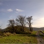 The Linconshire Poacher