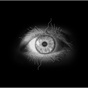 Fragmented Vision