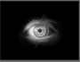 Fragmented Vision