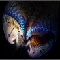 ImplicateForm