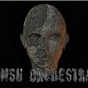 MSU Orchestra