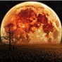 Planet Red