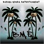 Bahama Money