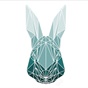 Dubai Bunnies