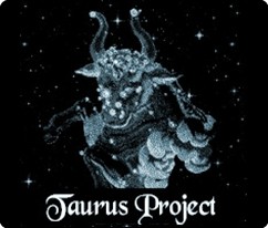 Taurus Project