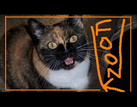 15476foonk_logo.jpg