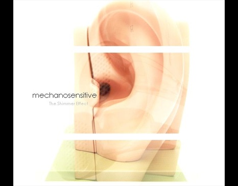 27278Mechanosensitive - Album Art.JPG