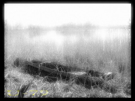 U-79