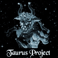 Taurus Project